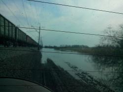 post-9454-0-00108600-1398156194_thumb.jp