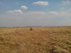 post-9454-0-19147600-1398157908_thumb.jp