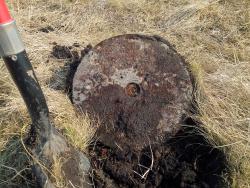 post-9454-0-61296000-1398158425_thumb.jp