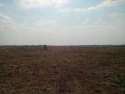 post-9454-0-79298100-1398157879_thumb.jp