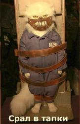 post-10063-0-15666700-1429017921_thumb.j