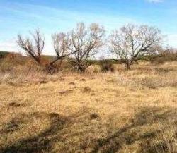 post-10214-0-21937600-1429631777_thumb.j