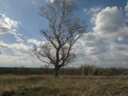 post-10214-0-41370700-1430140795_thumb.j