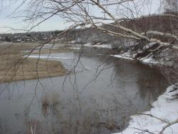 post-10462-0-07933500-1428862212_thumb.j