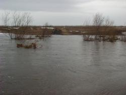 post-10462-0-08448700-1428862296_thumb.j