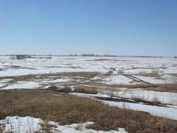 post-10462-0-23125100-1428166446_thumb.j