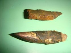 post-10462-0-24591800-1429728975_thumb.j