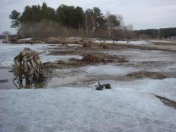 post-10462-0-25094700-1429728800_thumb.j