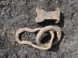 post-10462-0-27029700-1430234966_thumb.j