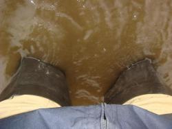 post-10462-0-45242300-1428862276_thumb.j