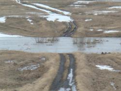 post-10462-0-48304300-1428862252_thumb.j