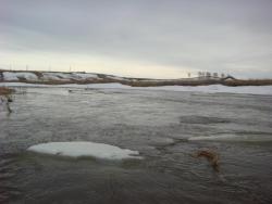 post-10462-0-52948200-1428862322_thumb.j