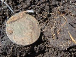 post-10462-0-53432100-1430235027_thumb.j