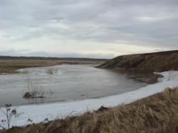 post-10462-0-57420000-1428862228_thumb.j