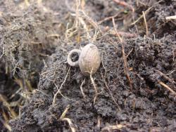 post-10462-0-65643600-1428862349_thumb.j