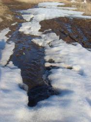 post-10462-0-68542900-1428166574_thumb.j