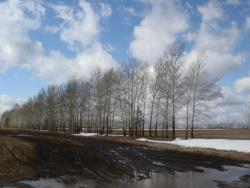 post-10462-0-86225200-1429459796_thumb.j