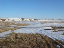 post-10462-0-92316100-1428166472_thumb.j