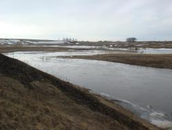 post-10462-0-92407800-1428862191_thumb.j