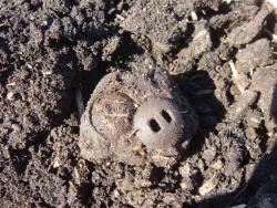 post-10462-0-94374400-1428166602_thumb.j