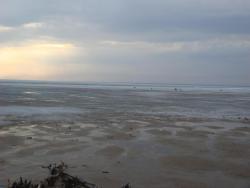 post-10462-0-94673100-1429728728_thumb.j