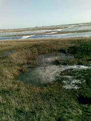 post-10547-0-23826200-1428160074_thumb.j