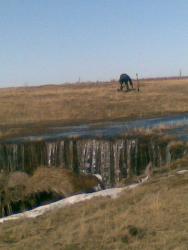 post-10547-0-28944500-1428160130_thumb.j