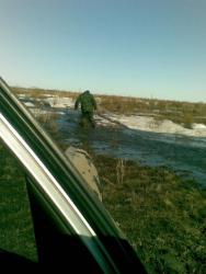 post-10547-0-41405400-1428160350_thumb.j