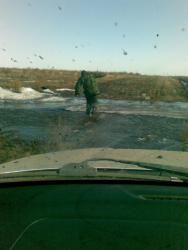 post-10547-0-58119700-1428160379_thumb.j