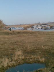 post-10547-0-86020500-1428160092_thumb.j