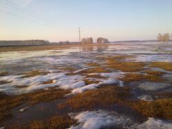 post-12000-0-44193000-1428425793_thumb.j