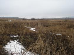 post-12373-0-29067800-1429796753_thumb.j