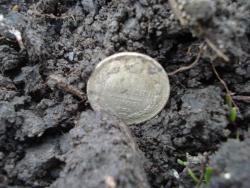 post-12373-0-34576800-1429808284_thumb.j