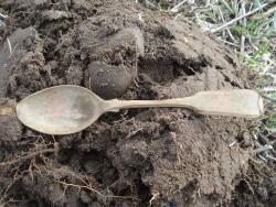 post-12373-0-41703400-1429987667_thumb.j