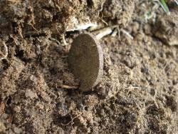 post-12373-0-58498100-1429974810_thumb.j