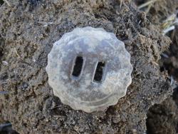 post-12373-0-71613200-1429807718_thumb.j