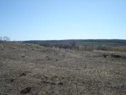 post-12373-0-74770900-1429807305_thumb.j