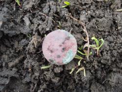 post-12373-0-80730000-1429796928_thumb.j