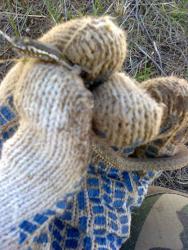 post-17557-0-03364900-1429530301_thumb.j