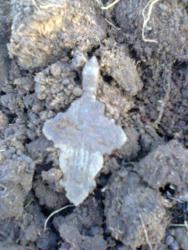 post-17557-0-06513100-1429530310_thumb.j