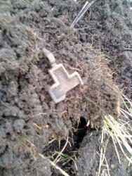 post-17557-0-79906700-1429530196_thumb.j