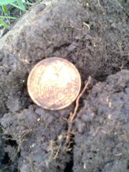 post-17557-0-96108200-1429530328_thumb.j