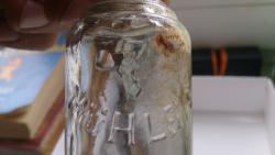 post-24203-0-04185800-1428332721_thumb.j