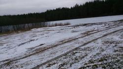 post-24203-0-38584300-1427986948_thumb.j