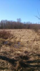 post-24203-0-57161900-1429369926_thumb.j