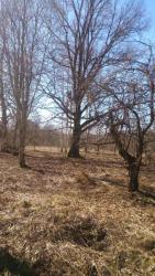 post-24203-0-75848400-1429369727_thumb.j