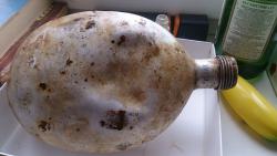 post-24203-0-76652400-1428332846_thumb.j