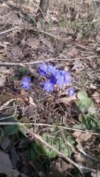 post-24203-0-82717700-1429369725_thumb.j