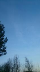 post-24203-0-85395800-1429369730_thumb.j