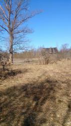 post-24203-0-86440800-1429369726_thumb.j